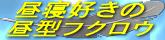 QD̒^tNE